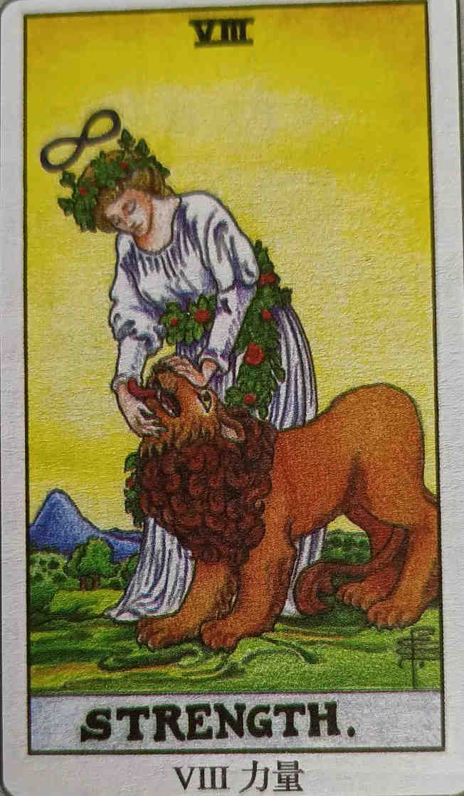 VIII 力量（Strength）