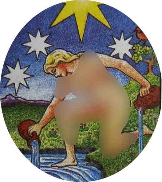 XVII 星星（The Star）