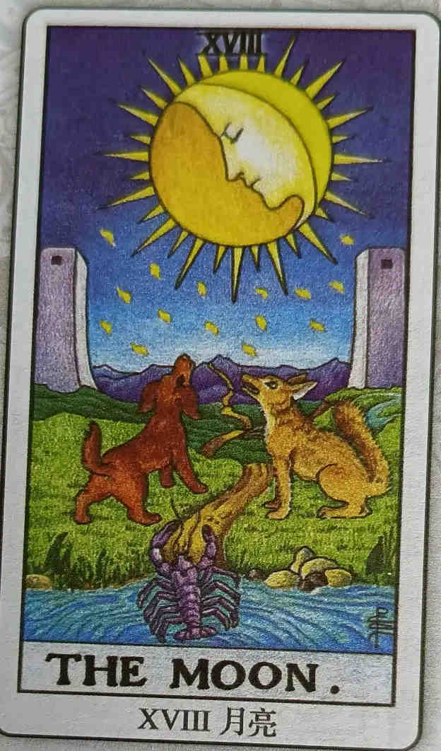 XVIII 月亮（The Moon）
