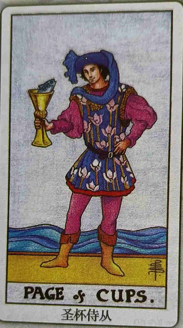 XXV 圣杯侍从（Page of Cups）