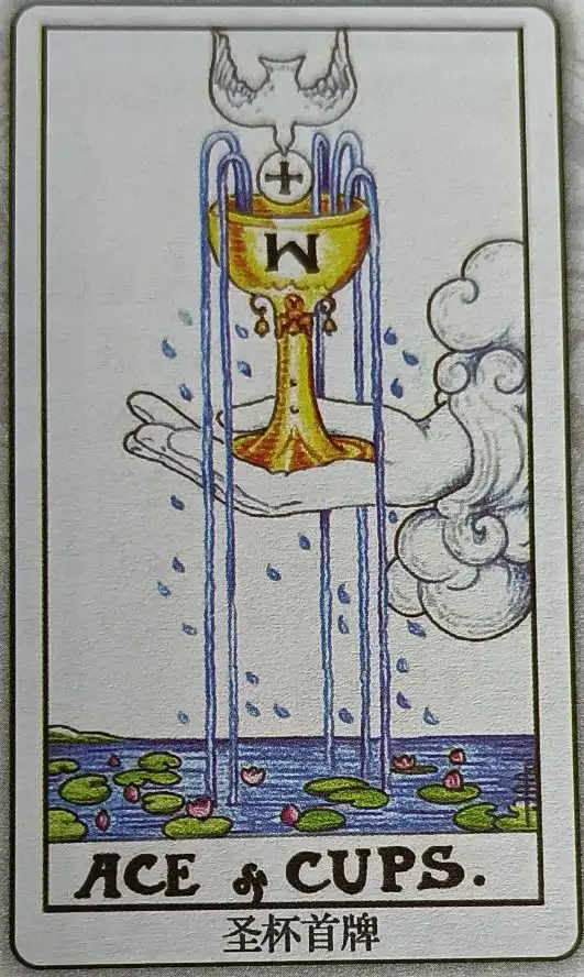 XXVI 圣杯首牌（Ace of Cups）