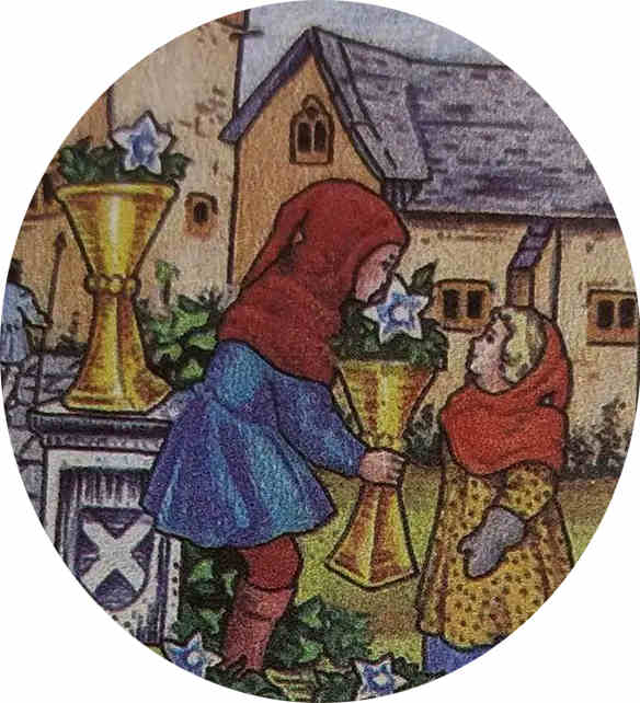 XXXI 圣杯六（Six of Cups）