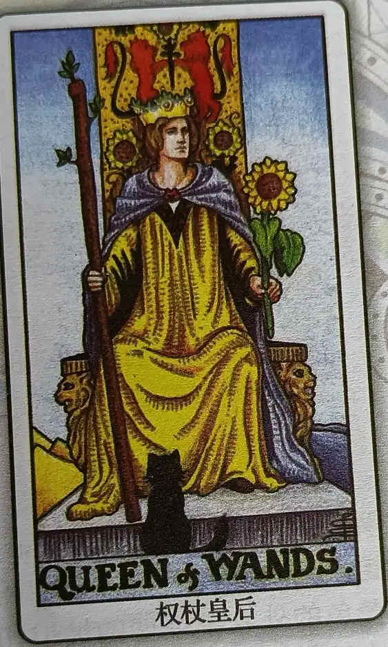 LI 权杖女王（Queen of Wands）