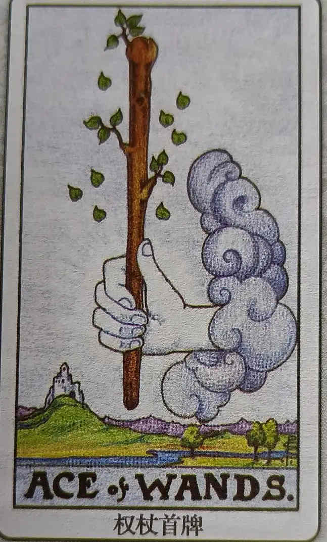 LIV 权杖首牌（Ace of Wands）