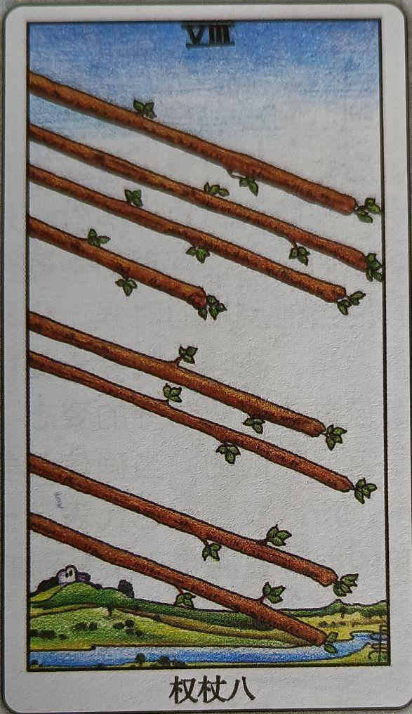 LXI 权杖八（Eight of Wands）