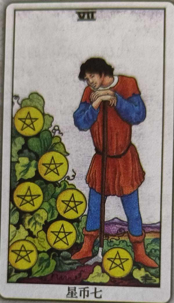 LXXIV 金币七（Seven of Pentacles）