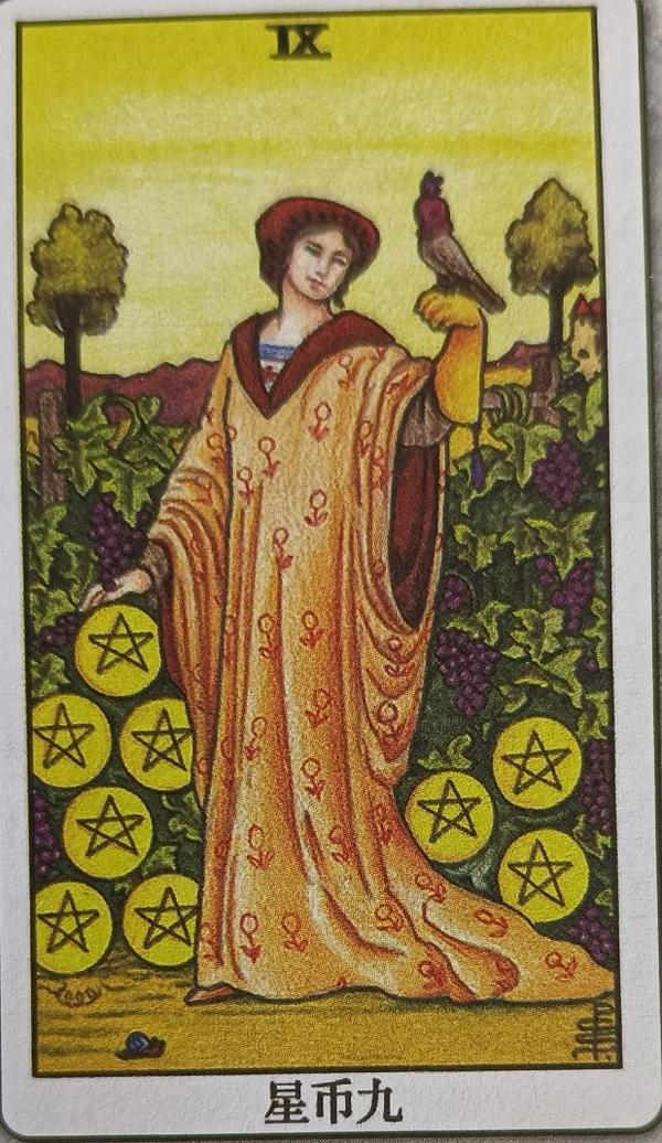 LXXVI 金币九（Nine of Pentacles）